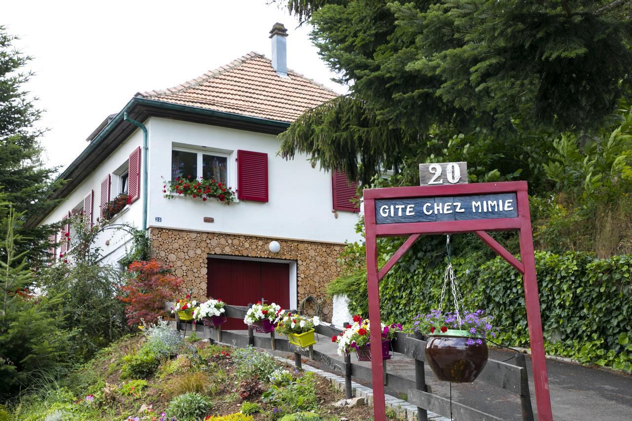 Gite Chez Mimie Breitenbach-Haut-Rhin Exterior photo