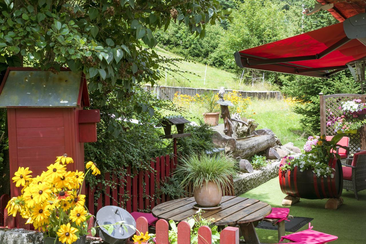 Gite Chez Mimie Breitenbach-Haut-Rhin Exterior photo